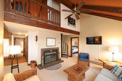 10 Squirrel Tree Ln, Wintergreen Resort, VA 22967 - photo 4
