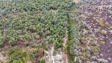 0 Pine Log Rd unit 782404, Chipley, FL 32428 - photo 3