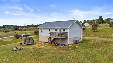 156 Milk Thistle Way, Fall Branch, TN 37656 - photo 5