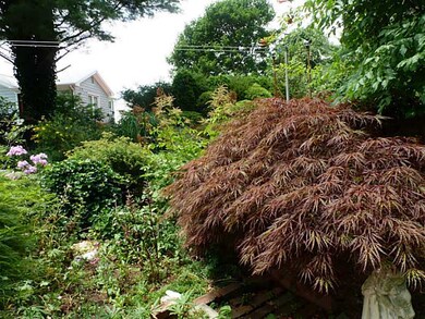 Yard/Garden.