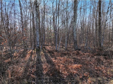 Lot 12 Peninsula Road Rd, Hayward, WI 54843 - photo 2