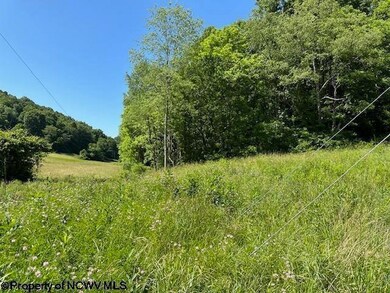 326 Joes Run Rd, Mannington, WV 26582 - photo 3