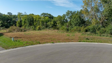 714 114th Ct NE, Blaine, MN 55434 - photo 4