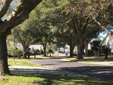 Tree lined street