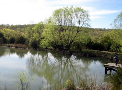 14687 Slaty Gap Rd, West Fork, AR 72774 - photo 2