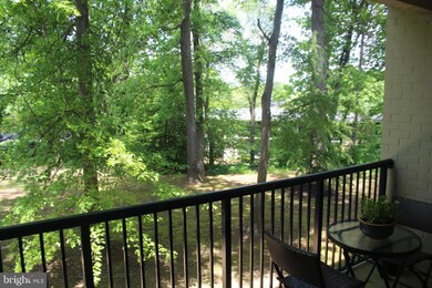 1101 Primrose Ct unit 203, Annapolis, MD 21403 - photo 7