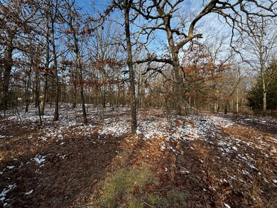 IMG_1976