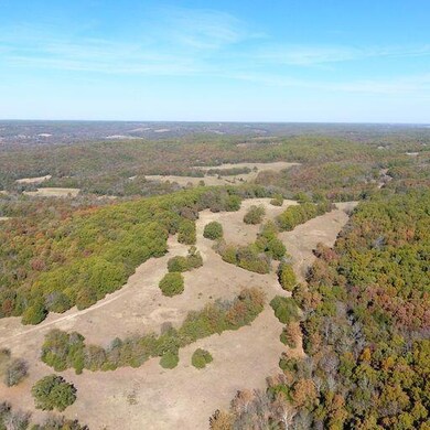 Tract A Farm Road 2080, Jenkins, MO 65605 - photo 6