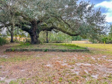 05) Grand Daddy Oaks