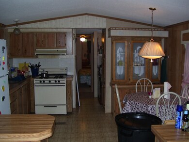 2346 W Oakwood Blvd, Bitely, MI 49309 - photo 6