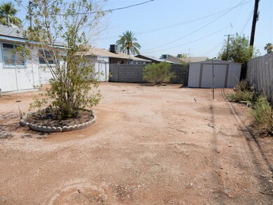 023-351632 - Backyard 1