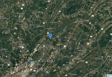 5317 Dug Hollow Rd, Pinson, AL 35126 - photo 6