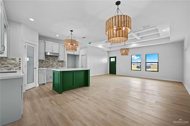 7334 Emily Grace Ave, Monte Alto, TX 78538 - photo 7