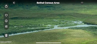 L1 Goodnews River, Goodnews Bay, AK 99589 - photo 4