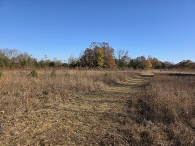 1280 Walnut Grove Rd, Newark, AR 72562 - photo 4