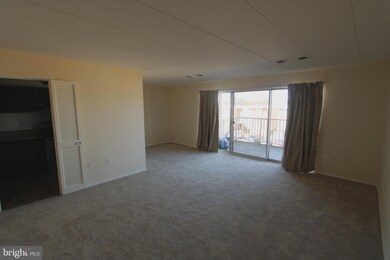 2620 Fort Farnsworth Rd unit 225, Alexandria, VA 22303 - photo 5
