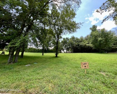 393 Beacon Hill Dr, Hernando, MS 38632 - photo 2