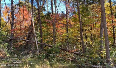 River View Fall5