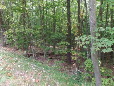 30 Catamount Rd, Pittsfield, NH 03263 - photo 3