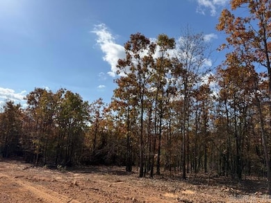 18 Summer Tyme Dr, Greenbrier, AR 72058 - photo 3