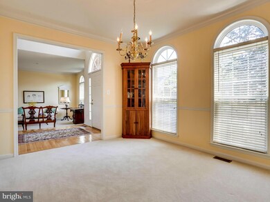 8920 Mountain Ash Dr, Springfield, VA 22153 - photo 6