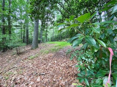 400 Emerald Hills Dr, Pisgah Forest, NC 28768 - photo 6