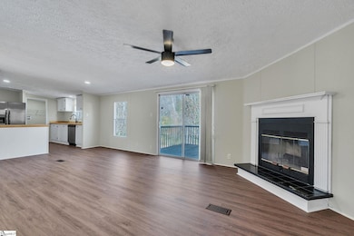 20 Hope Alyson Ct, Piedmont, SC 29673 - photo 4