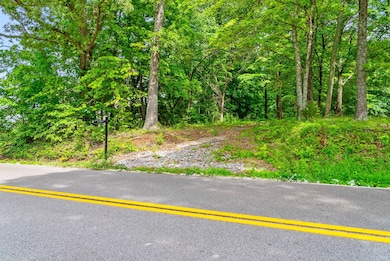 1 Ferry Rd, Clarksville, TN 37040 - photo 4