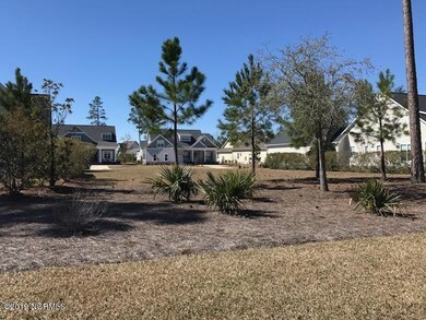 1388 Cross Water Cir, Leland, NC 28451 - photo 6