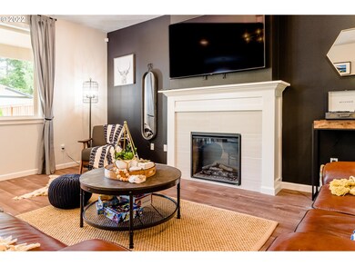 Fireplace Insert
