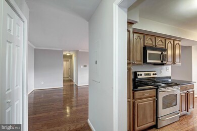 3332 Spring Ln unit C46, Baileys Crossroads, VA 22041 - photo 4