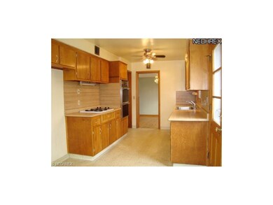 1923 Kapel Dr, Euclid, OH 44117 - photo 5