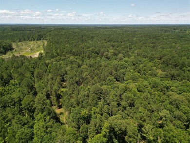 000 William Colvin Rd, Bernice, LA 71222 - photo 4