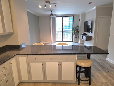 State Place Tower and Shops at State Place unit H801, Chicago, IL 60605 - photo 5