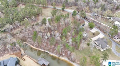 0 Frankies Rd unit 21413440, Vincent, AL 35128 - photo 3