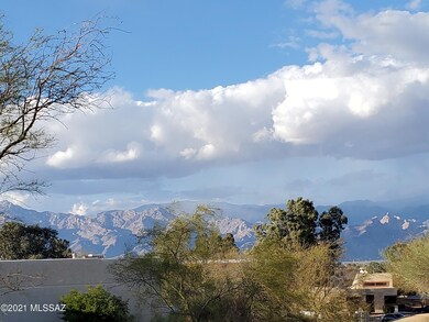 Catalinas