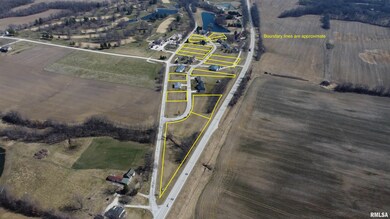 000 Leon Ln, Pittsfield, IL 62363 - photo 7