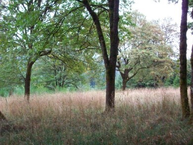 0 S Casto Rd, Oregon City, OR 97045 - photo 5