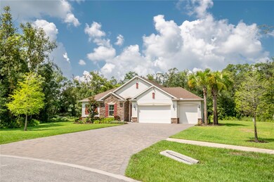 17704 Estuary Grove Place, Lutz, FL 33549 - photo 3