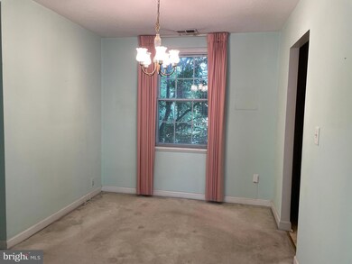 4431 36th St S unit B1, Arlington, VA 22206 - photo 5