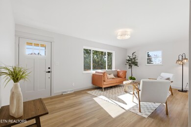 1413 Mount Vista Dr, Knoxville, TN 37920 - photo 4