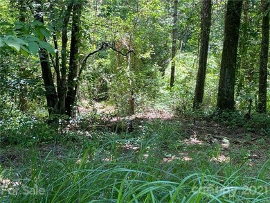 00 F H Justus Rd, Hendersonville, NC 28792 - photo 5