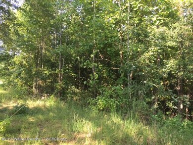 Plenty of Trees