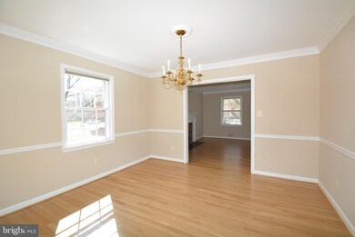 8419 Crown Place, Alexandria, VA 22308 - photo 5