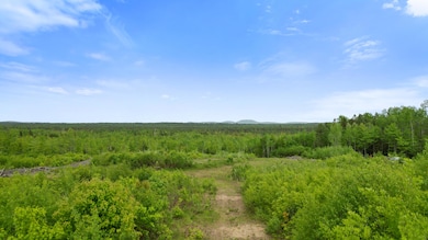 Map8Lot10 Cardville Road, Greenbush, ME