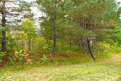 xxx Pequot Ct, Fawn Lake Township, MN 56438 - photo 3