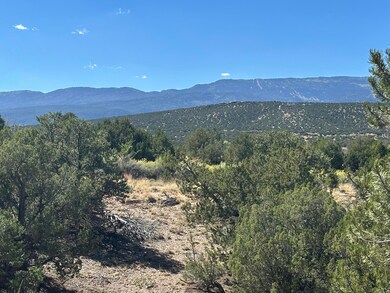 7 Old Rail Pass, La Madera, NM 87047 - photo 6