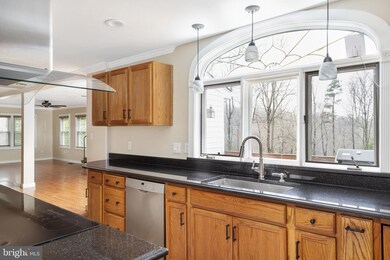 6096 Misty Ridge Rd, Broad Run, VA 20137 - photo 6