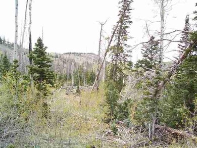 Picture of Neighboring Lot