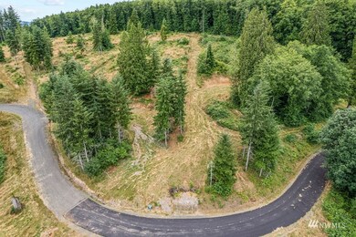 4 Bison Run, Longview, WA 98632 - photo 3